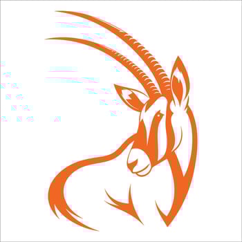 An antelope head with long horns on a white background vector