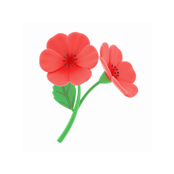 Red Poppy Flower Illustration with Green Stem and Leaves on Transparent Background for Botanical Design png