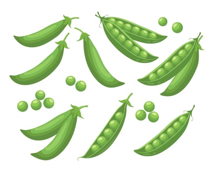 Set of green peas. Collection of green peas in pods on white background. Legumes, food illustration. vector