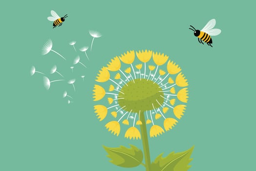 flat illustration of dandelion and bees vector