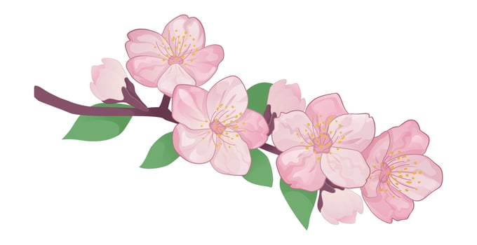 Sakura branch with delicate pink blossoms. Elegant illustration, isolated. Perfect for floral designs, branding, and decorative projects. vector