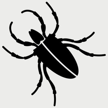 black and white icon of insect tick on white background vector