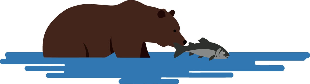 Bear catching fish in clear water flat art vector