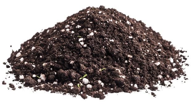 Dark Brown Soil Pile with White Pebbles and Green Sprouts png