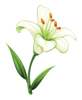 Delicate white lily flower with smooth petals and leaves, perfect for elegant floral designs. Cartoon illustration vector
