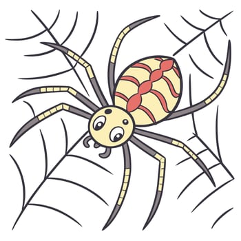 Spider animal cartoon character vector