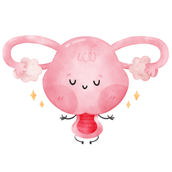 Calm Uterus, Menstrual, Period png