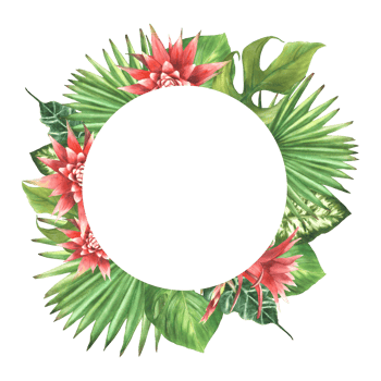 Tropical green leaves with red flowers buds wreath, exotic home plant, Monstera palm, creeper. Greenery leaf circle frame. Jungle clipart. Watercolor painted illustration. Isolated from background png