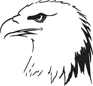 Eagle head art illustration vector