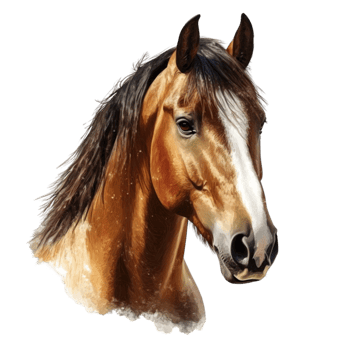 Majestic Brown Horse with Flowing Mane png