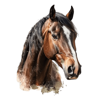 Brown Horse Standing Tall with a Flowing Mane png
