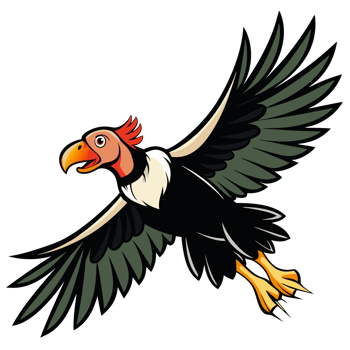 California Condor Soaring High Majestic Wingspan and Detailed Plumage png