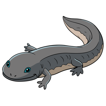 Chinese Giant Salamander Gliding png