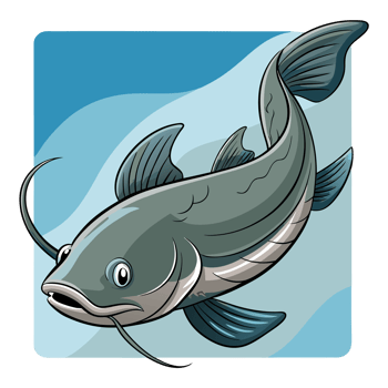 Mekong Giant Catfish Gliding png
