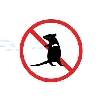 prohibited and dangerous signs. mouse danger. it is forbidden to bring mouse vector