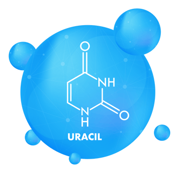 Uracil formula with molecules floating in a blue sphere representing innovative scientific research png