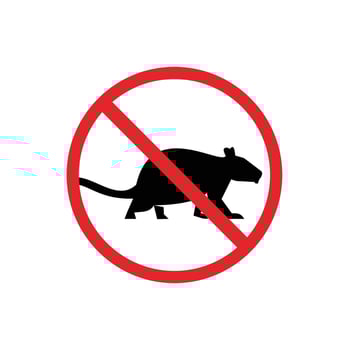 prohibited and dangerous signs. rats danger. it is forbidden to bring rats vector
