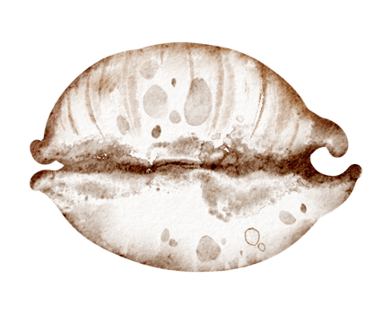 Watercolor illustration seashell on isolated background. Hand drawn element underwater conch for sticker. Drawing of Sea Shell for nursery wall art. Shell for hildish greeting cards or invitations. png