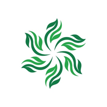 Decorative Star Green Leaves Pattern Logo Template Illustration Design. EPS 10. vector