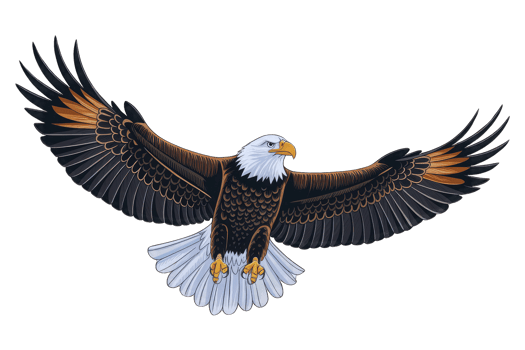 Majestic Bald Eagle with Outstretched Wings, Flying Bird Illustration. png