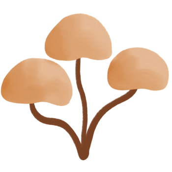 illustration of a mushroom png