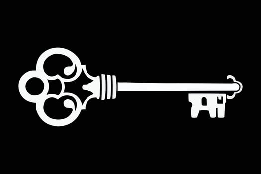 Modern line art silhouette of a vintage key. vector