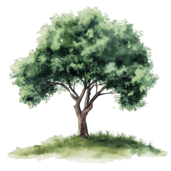 A tree is depicted in a watercolor painting, with its branches reaching out png