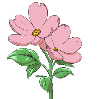 Flowers sakura pink png