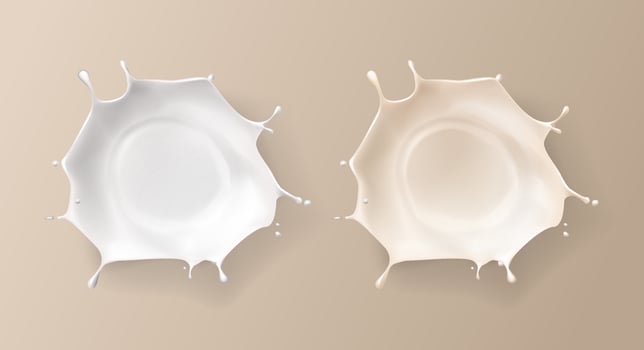Splashed milk isolated. Natural dairy products, yogurt or cream in crown splashes with flying drops. vector