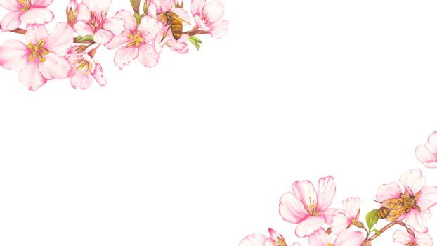 Frame of hand-painted watercolor illustration of fruit tree blossom with bees on flowers. png