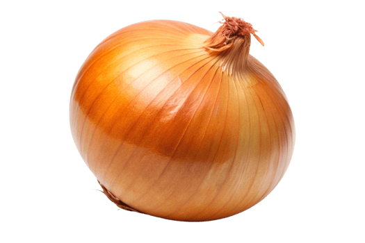A onion is shown on Transparent Background png
