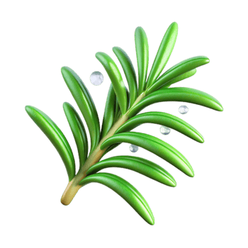 Festive Green Sprig with Pearl Decorations png