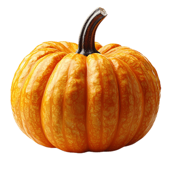 round pumpkin with rich orange hue and smooth texture, perfect for autumn decorations and seasonal recipes. Its vibrant color adds warmth to any setting png