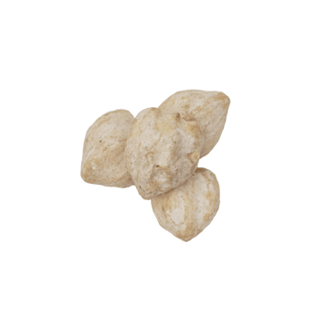 Top View of Small Pile of Candlenuts Spice on Transparent Background png