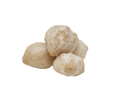 Small Pile of Candlenuts Spice on Transparent Background png