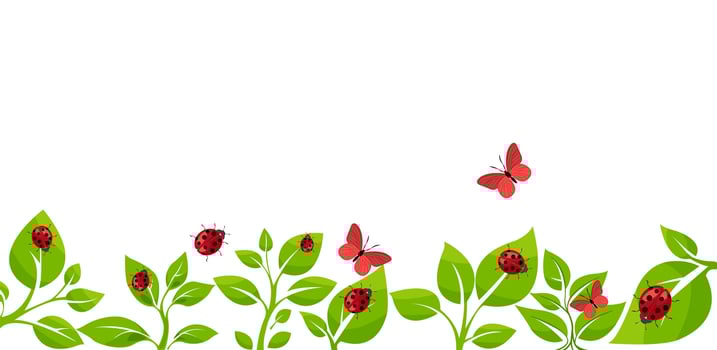 Colorful illustration of plants, ladybugs, and butterflies in a vibrant garden setting vector