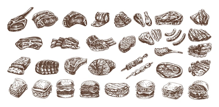 Set of hand-drawn monochrome sketches of different types of meat, steaks, chicken, kebabs, bacon, tenderloin, pork, beef, ham, barbecue, burgers, sandwiches. Vintage illustration. vector