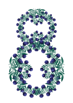 Figure eight made of blueberry berries png
