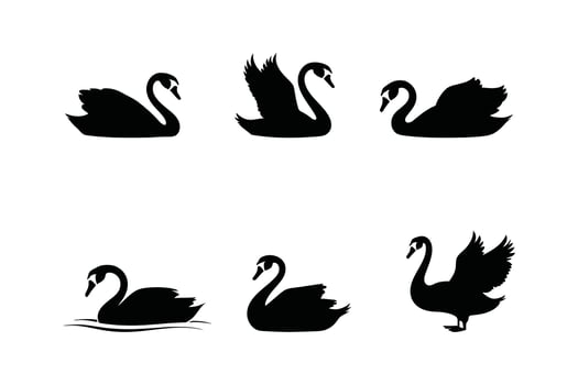 Swan Silhouette Set Art in Various Poses on White Background vector