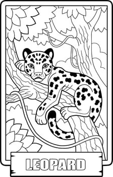 Wild African leopard, outline illustration, coloring page for kids vector