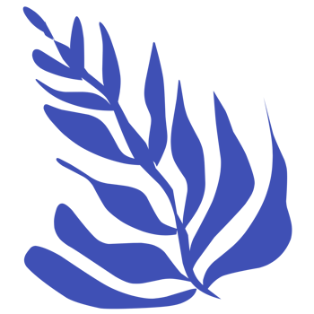 modern style icon leaf png