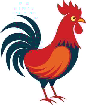Stylized rooster illustration, vibrant red and orange body, dark teal tail feathers, yellow eye, red comb, simplified geometric shapes, flat color design, bold contrasting colors vector