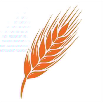 Wheat symbol isolated on white background vector