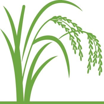 Rice clipart design. vector