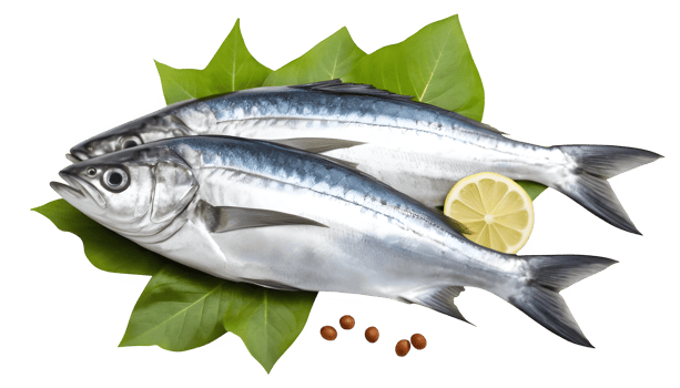 Two fish on a leaf with a lemon png