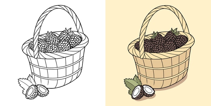Fresh Blackberries in Basket Illustration vector
