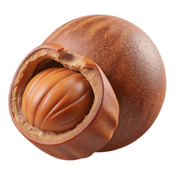 vibrant classic Chocolate Shell with Nut Center Sweet Treat genuine png