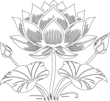 a drawing to a lotus flower vector
