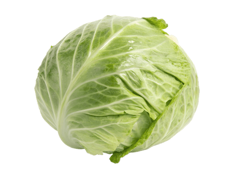 Fresh green cabbage ready for cooking and salads transparent png