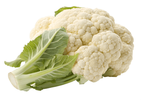 Fresh cauliflower harvested from the garden png